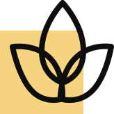 Sustainability & Eco-consciousness